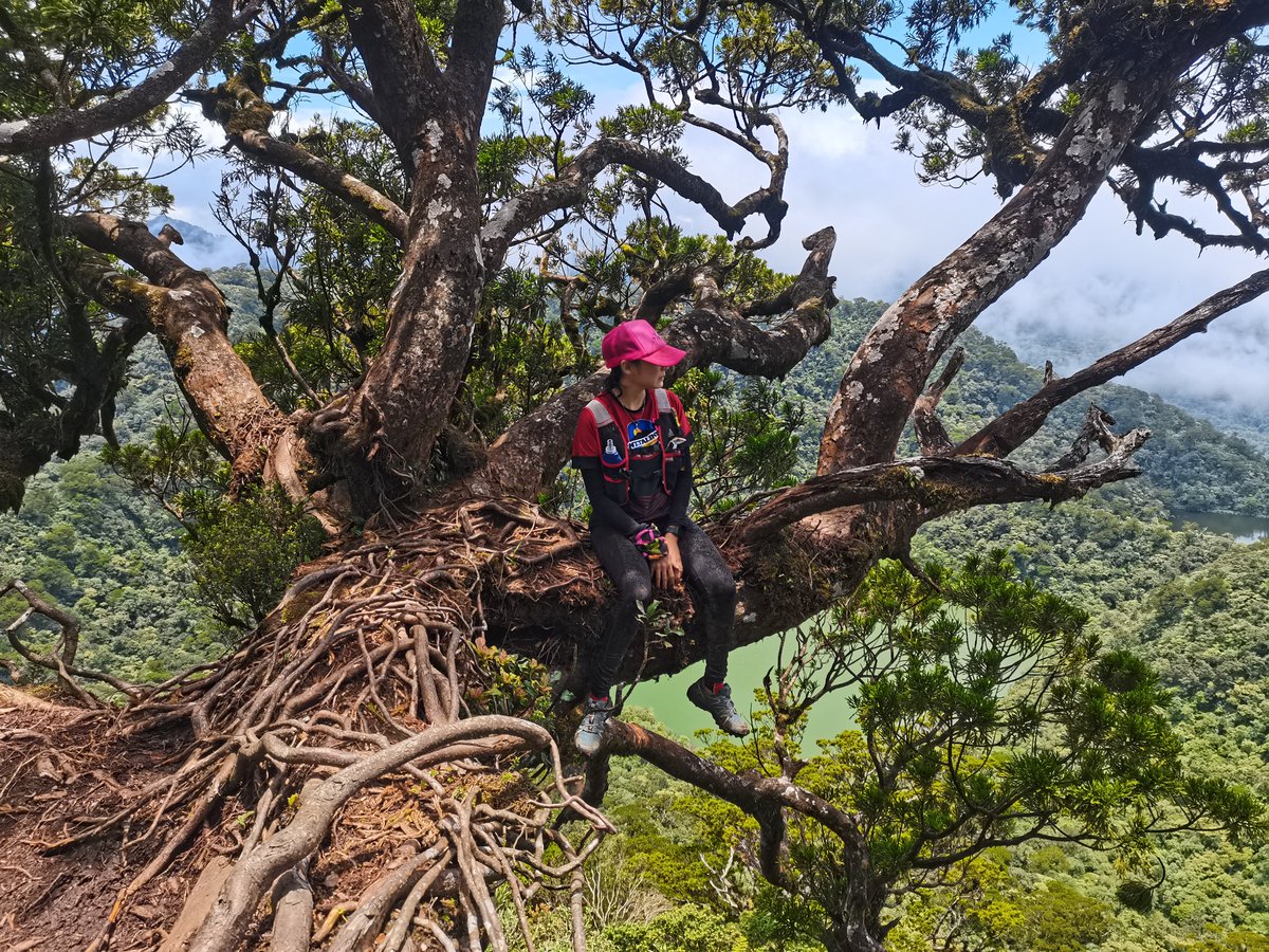omicdo13's tweet photo. Back to the mountains https://t.co/xLtKPnPpw1