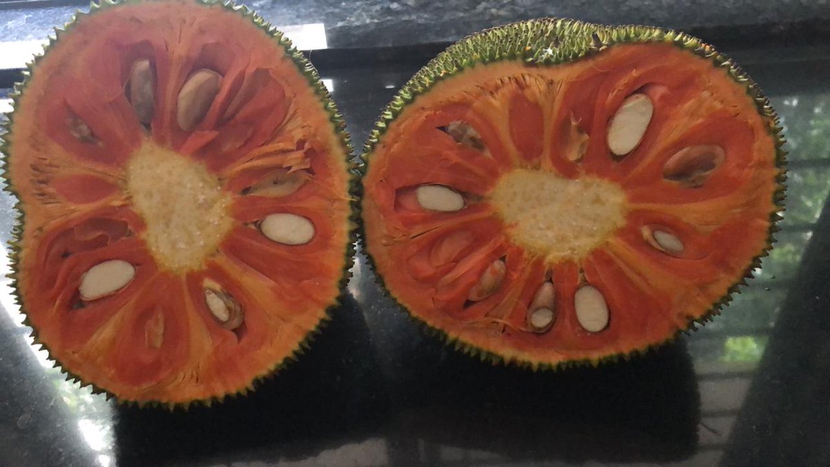 swaraj76's tweet photo. #jackfruit season. This is an exotic variety. https://t.co/rxs4fLPaqB