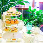 一日、一お抹茶(なかにしののか/お抹茶スイーツ)のツイート画像