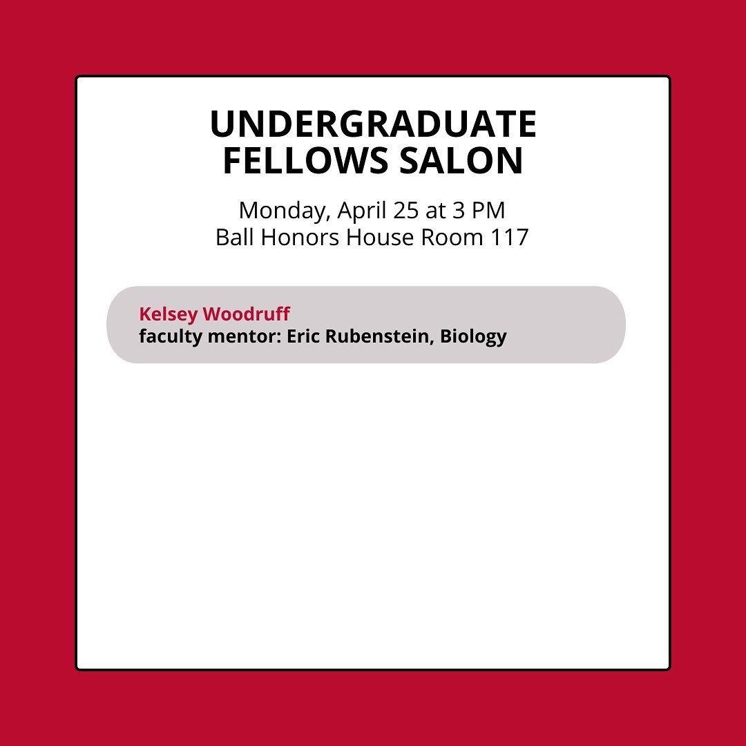 Ball State Honors College tweet media