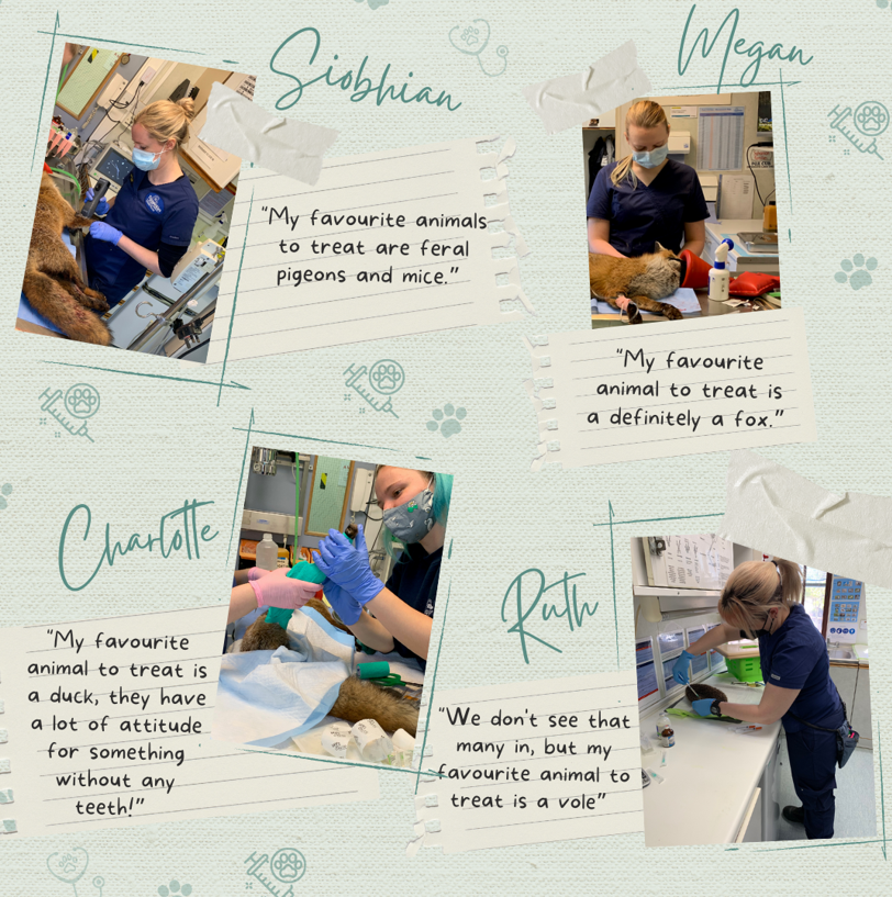 Tiggywinkles tweet media