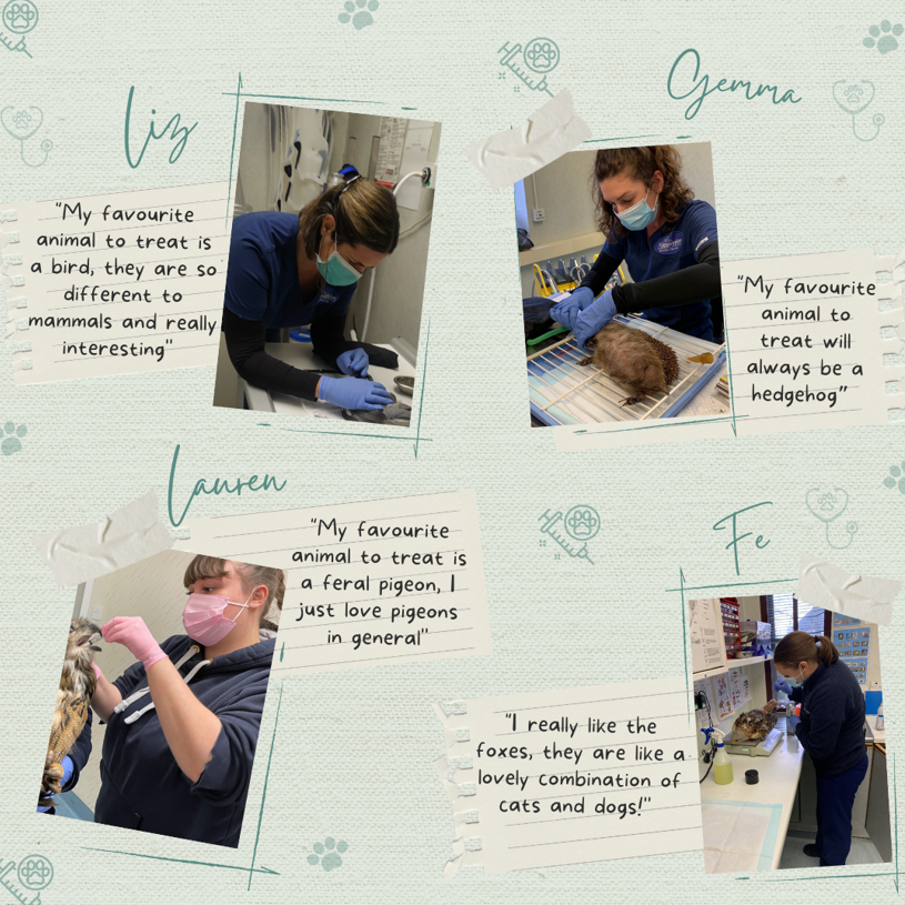 Tiggywinkles tweet media