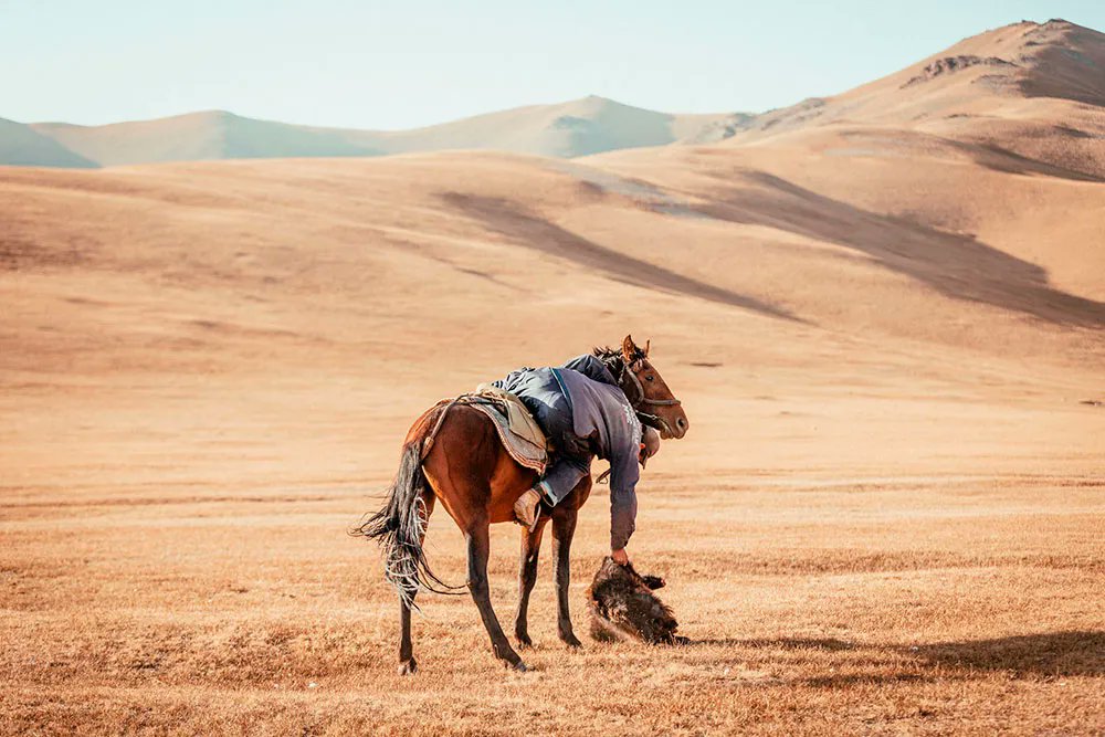 dodhomagazine's tweet photo. Horesemen of Kyrgyzstan by Josef Bürgi | Dodho https://t.co/8eA4Ml1P87
Like in many other #nomadic #countries, the horse in #Kyrgyzstan has a very important #place in #rural #life. https://t.co/fMfUqCLy80