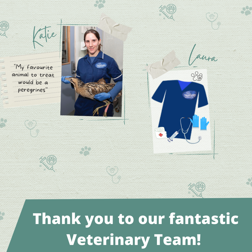 Tiggywinkles tweet media