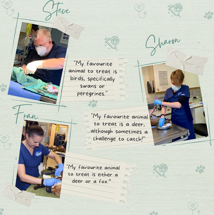 Tiggywinkles tweet media