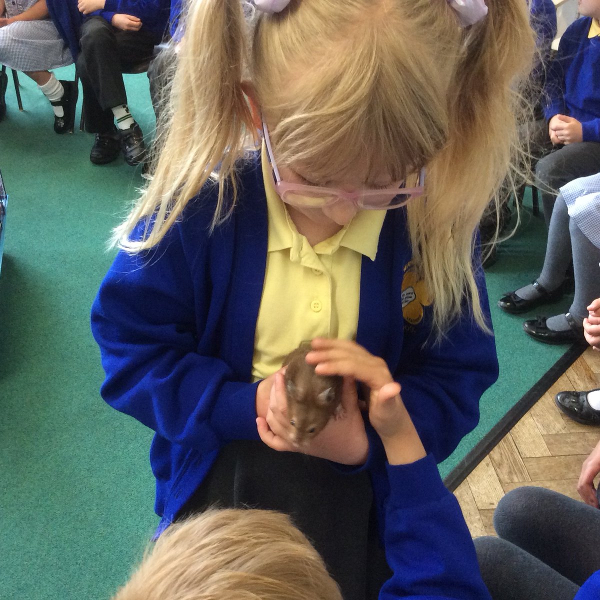 Herne Bay Infant School & Seashells Nursery tweet media
