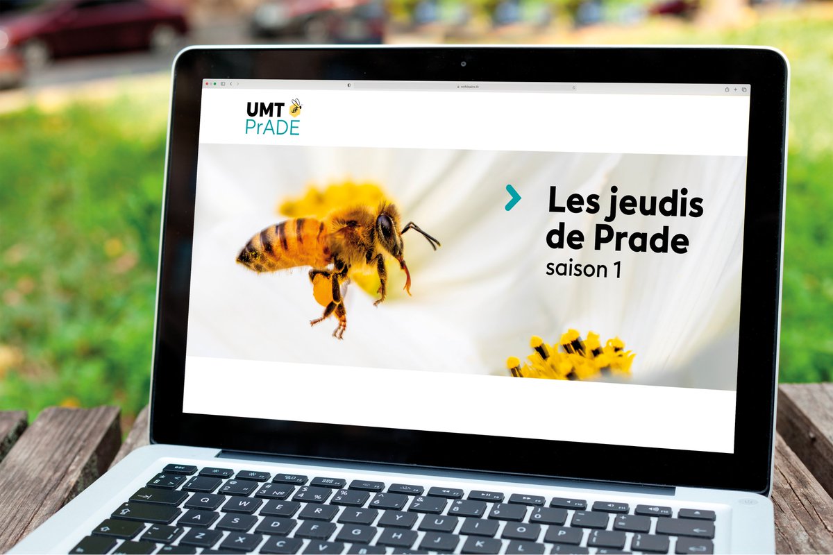 La saison 1 des jeudis de PrADE se termine ! Retrouvez les 6 #webinaires sur notre chaîne YouTube : youtube.com/channel/UC5ZIG….
Merci aux participants et rdv en octobre pour la saison 2. Tout l’#UMTPrADE sur le site : umtprade.fr