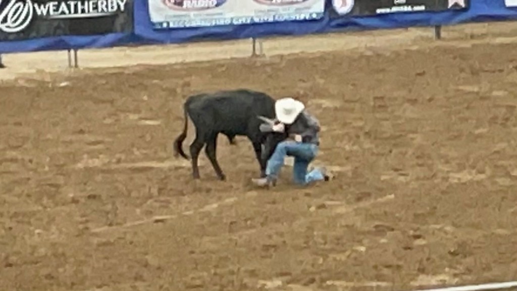 Our students at Madison Middle School are involved in so many things from art clubs, makerspace, fine arts and yes rodeo. Here are a few pictures of our students at the Junior High Region Rodeo in  Rapid City.