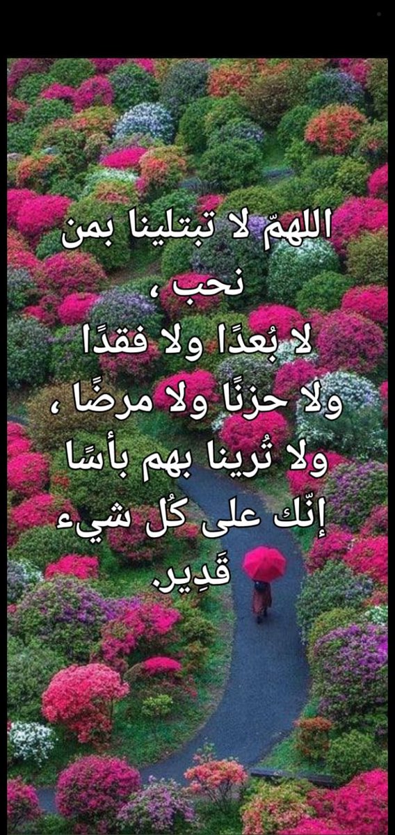 KfaaaK's tweet photo. 🕊️🌾🕊️🌾🕊️🌾

اللهمّ لا تبتلينا بمن نحب ، لا بُعدًا ولا فقدًا ولا حزنًا ولا مرضًا ، ولا تُرينا بهم بأسًا إنّك على كُل شيء قَدِير.
🍇🍇🍇🍇🍇🍇 https://t.co/roZXwi3u6p