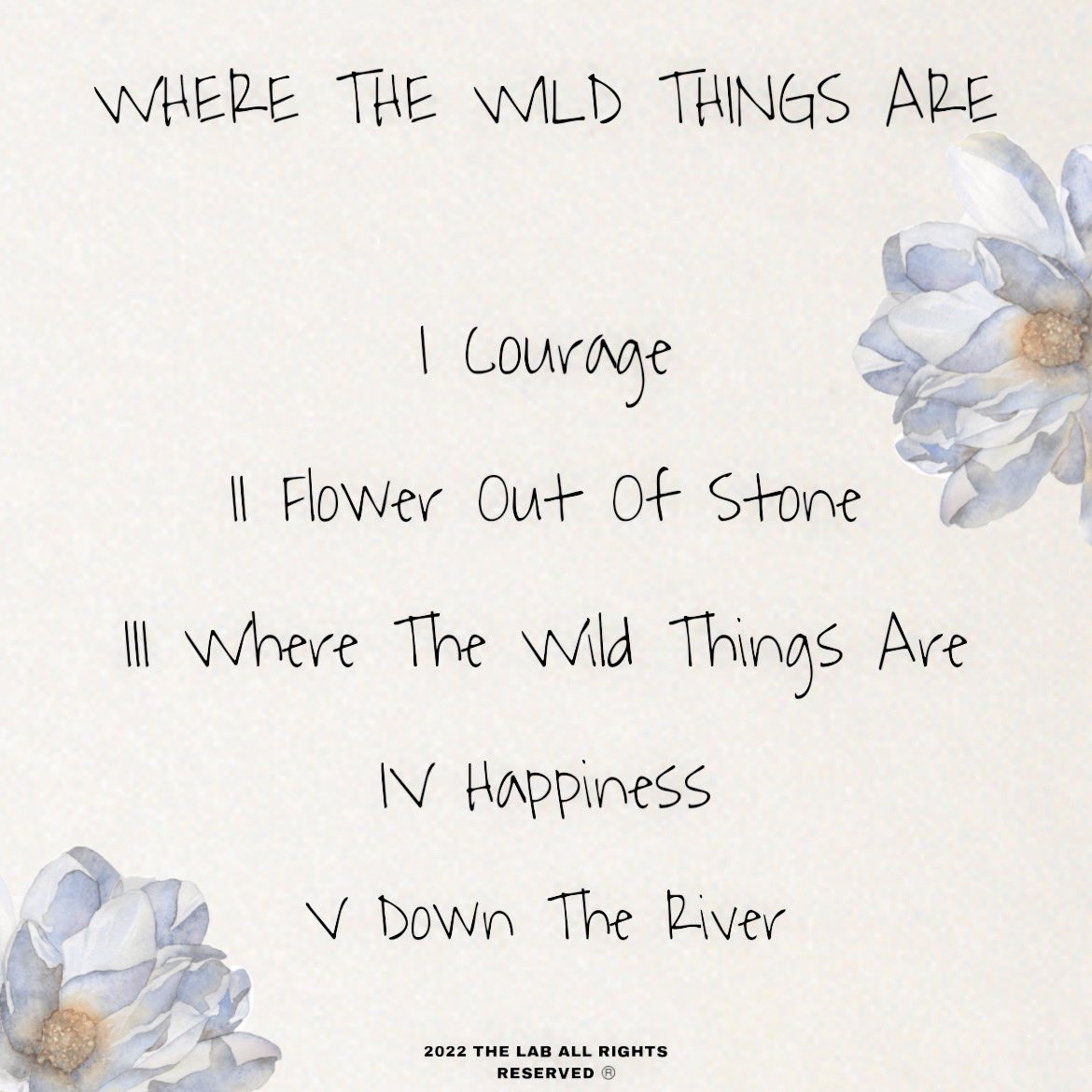 NoGoldTeeth tweet media