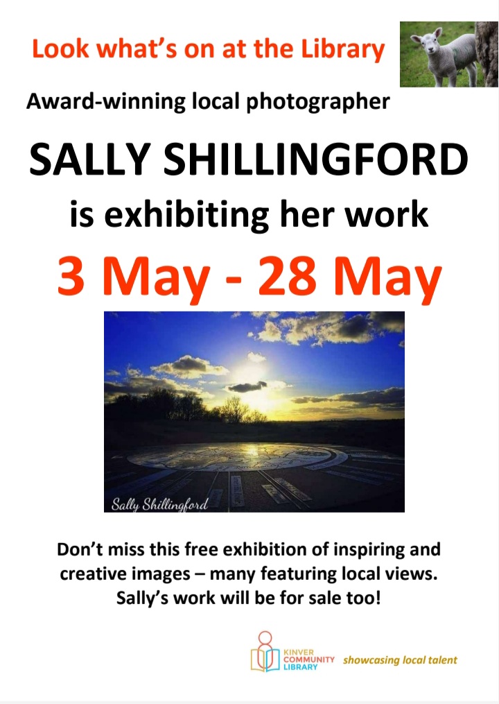 Sally's work will be on display at the library throught May. Make sure to pop in!