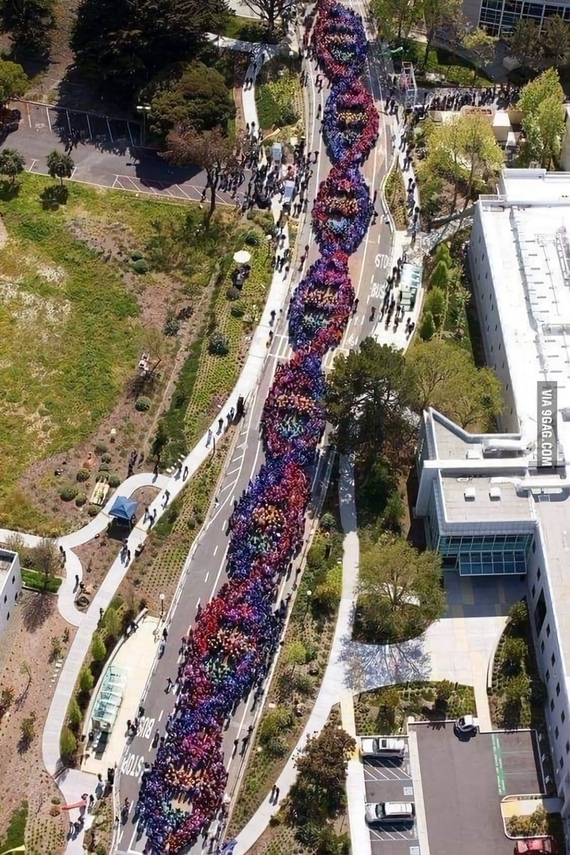 mICROBIOsh's tweet photo. 🧬El 25 de abril se celebra el Día Mundial del #ADN en conmemoración de la publicación del modelo de estructura en doble hélice, propuesto en 1953 por James #Watson y Francis #Crick. 

🧬Esto no habrían podido ser posible sin el trabajo de #Rosalind Franklin. https://t.co/onOfQnRLDu