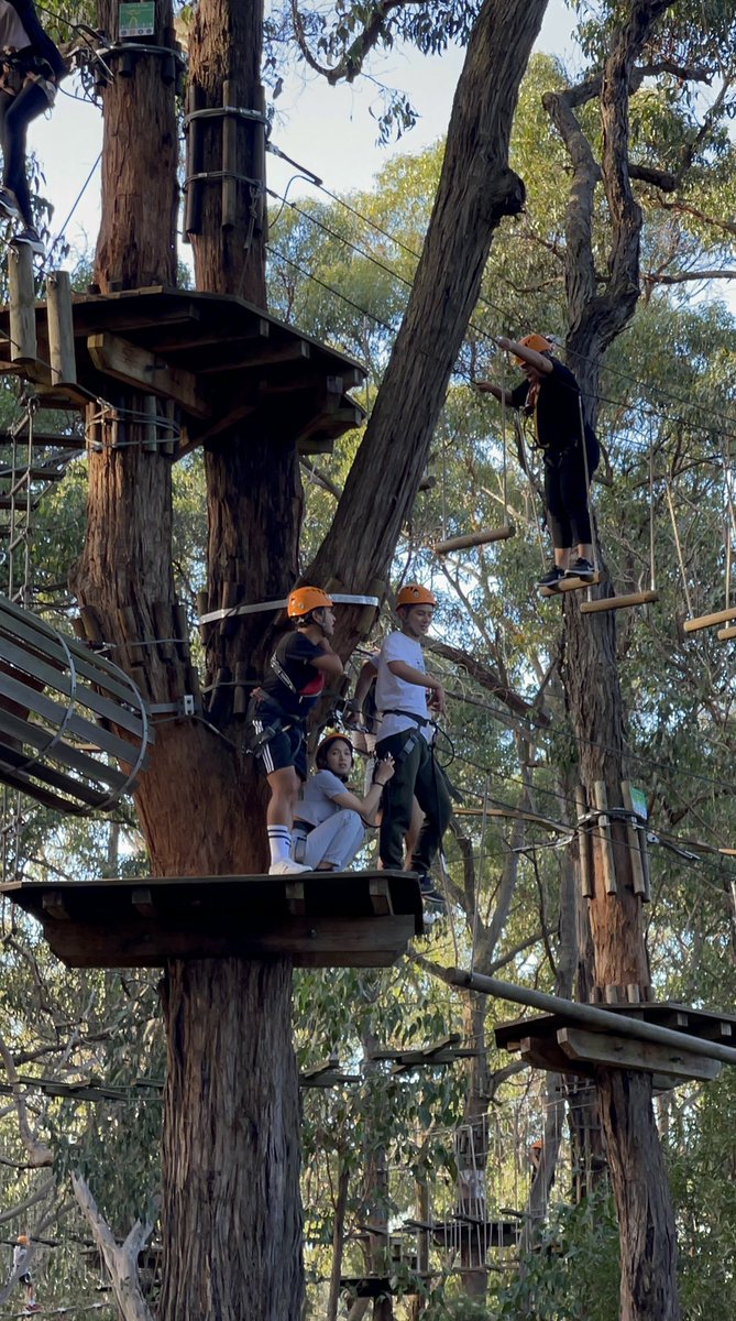 marionmmt's tweet photo. Had too much fun Tree Surfing. Exhausting and a bit scary fun!!! https://t.co/ITDuZeTiqW