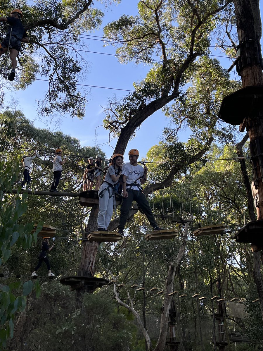 marionmmt's tweet photo. Had too much fun Tree Surfing. Exhausting and a bit scary fun!!! https://t.co/ITDuZeTiqW
