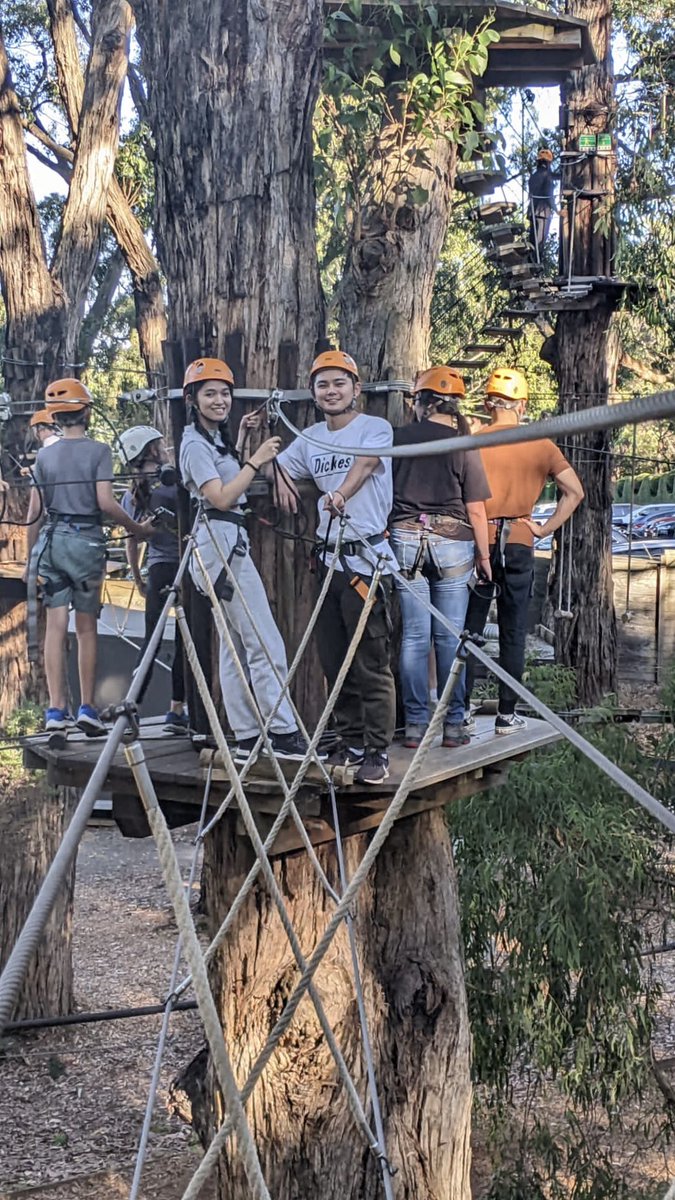 marionmmt's tweet photo. Had too much fun Tree Surfing. Exhausting and a bit scary fun!!! https://t.co/ITDuZeTiqW