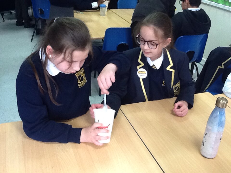 ststephensSW8's tweet photo. Oh... and how can we forget! As their final science investigation, the Year 5s also had a wonderful time creating slime!
They even experimented with colours (and scent!), that even the classroom smelt sweet with vanilla!
@ststephensSW8 #slimemaking #stickyfingers https://t.co/5LZXKtfJQ4