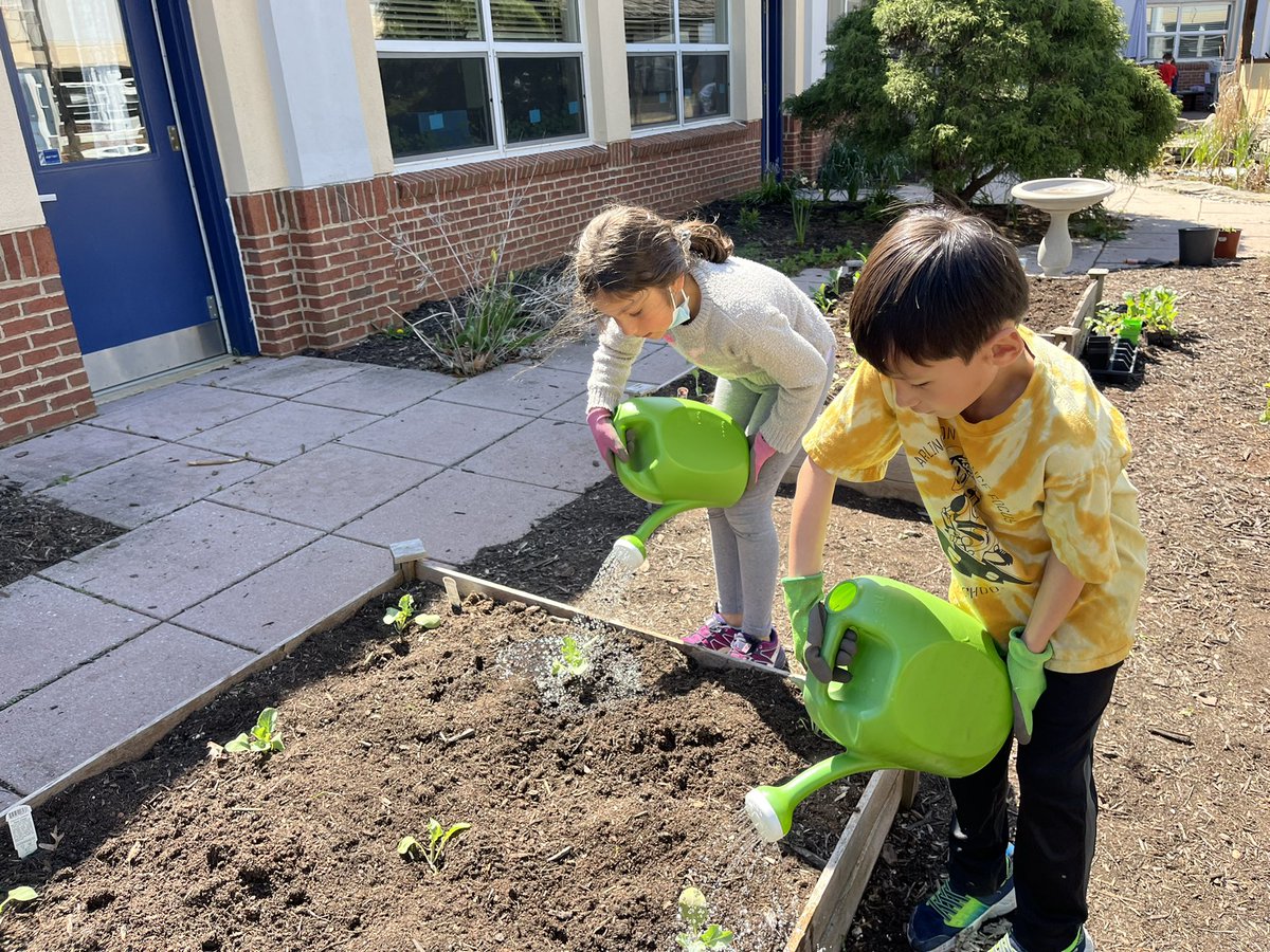 TaylorITC's tweet photo. Last week was our school’s annual #HabitatWeek and all classes spent time taking care of our gardens by weeding, watering, and planting native plants or veggies. @ASFSOnline @AsfsPta https://t.co/9Sv8An2b1k