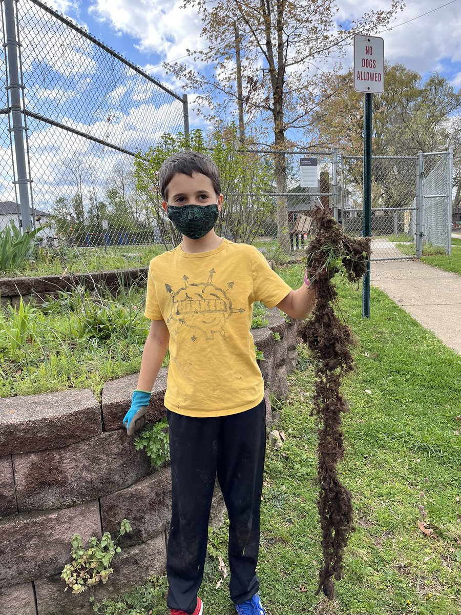 TaylorITC's tweet photo. Last week was our school’s annual #HabitatWeek and all classes spent time taking care of our gardens by weeding, watering, and planting native plants or veggies. @ASFSOnline @AsfsPta https://t.co/9Sv8An2b1k