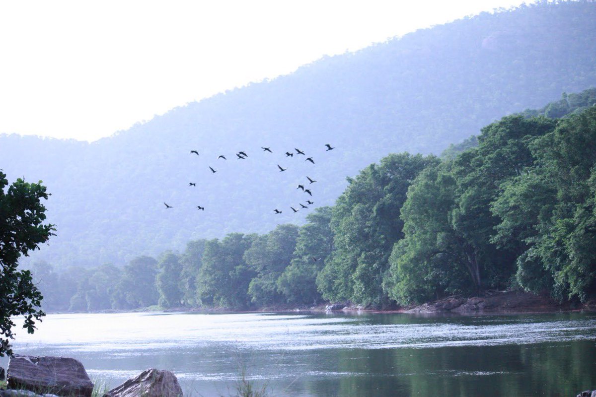 supriyasahuias's tweet photo. A new wildlife sanctuary viz. Cauvery Wildlife Sanctuary shall be notified by GOTN covering an area of about 478 sq. km in Hosur. It is an important habitat for elephants &amp; is home to 35 species of mammals, 238 species of birds. Rs 15 Cr allocated for initial work. #TNassembly https://t.co/8PpqSkD6S9