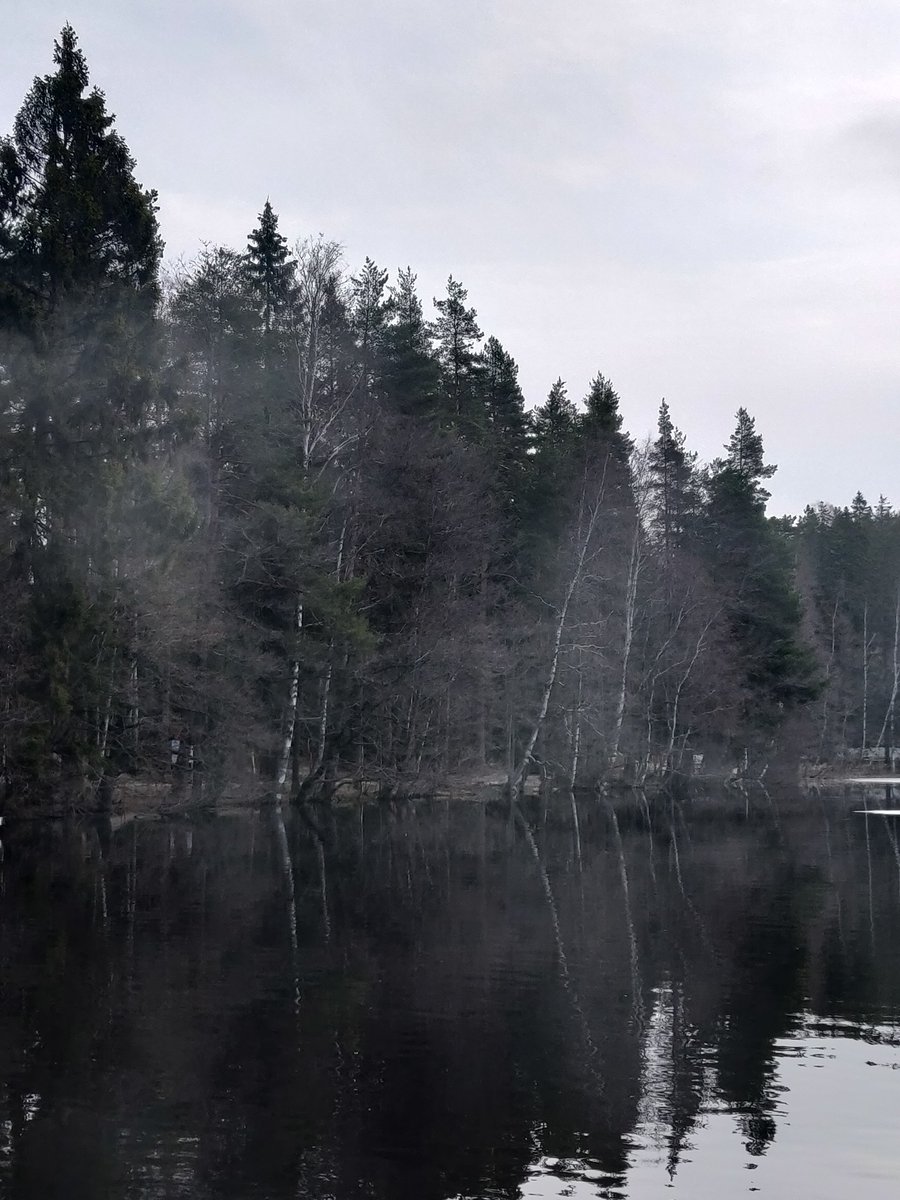 Successful recreation day for the doctoral researchers of #bytdk . Games in the forest, smoke sauna and beaver teeth!