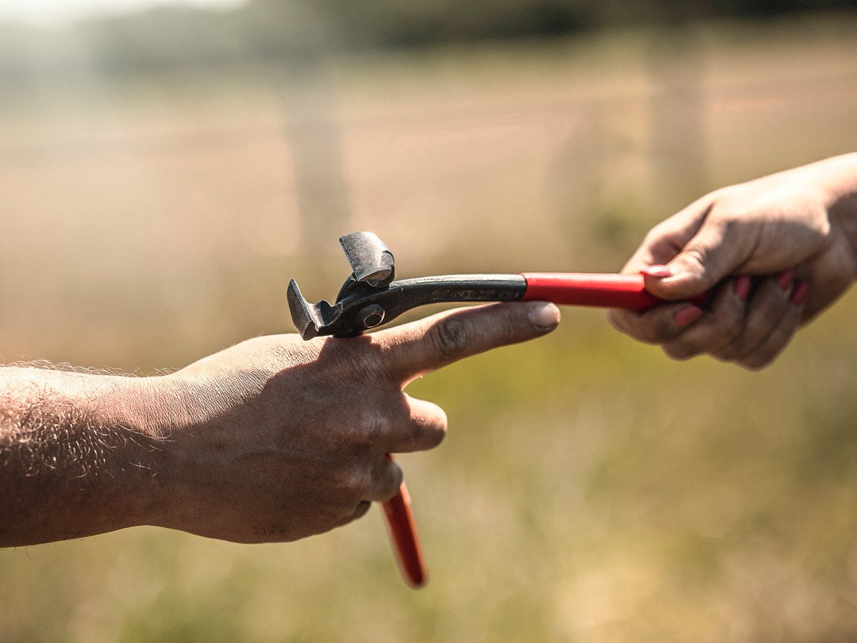 The year 2021 is a vintage in which the talents of a diverse and determined team have made the difference, once again demonstrating the full passion and cohesion of a collective effort.

•

#ChateauPalmer #Margaux #LeftBank #FineWine #EnPrimeur

chateau-palmer.com/en/2021-time-a…