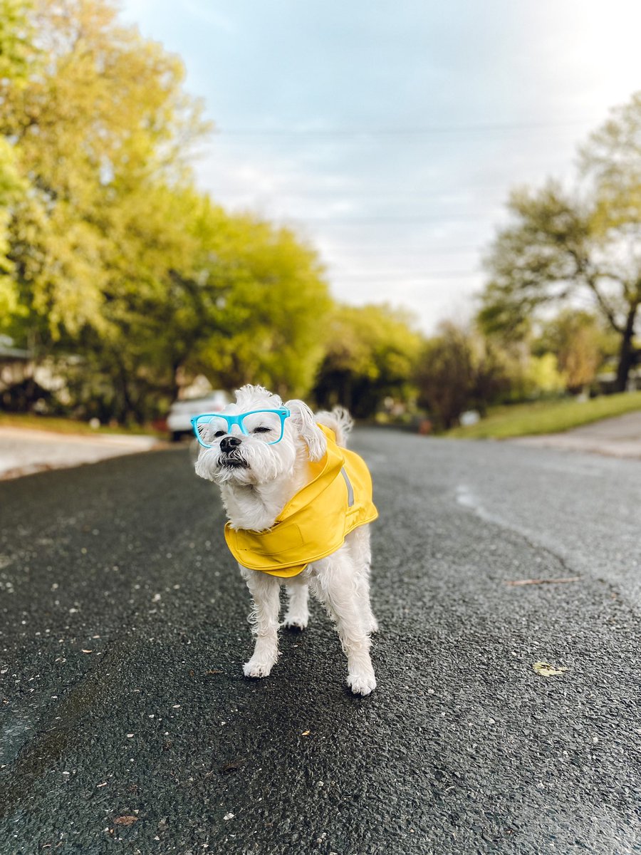 Kaxan_KXAN's tweet photo. I could smell the rain the air this AM. 🌧 Thanks for the heads up Mother Nature &amp; @KXAN_Weather. #Atxwx #Austin https://t.co/ORvOchQucD