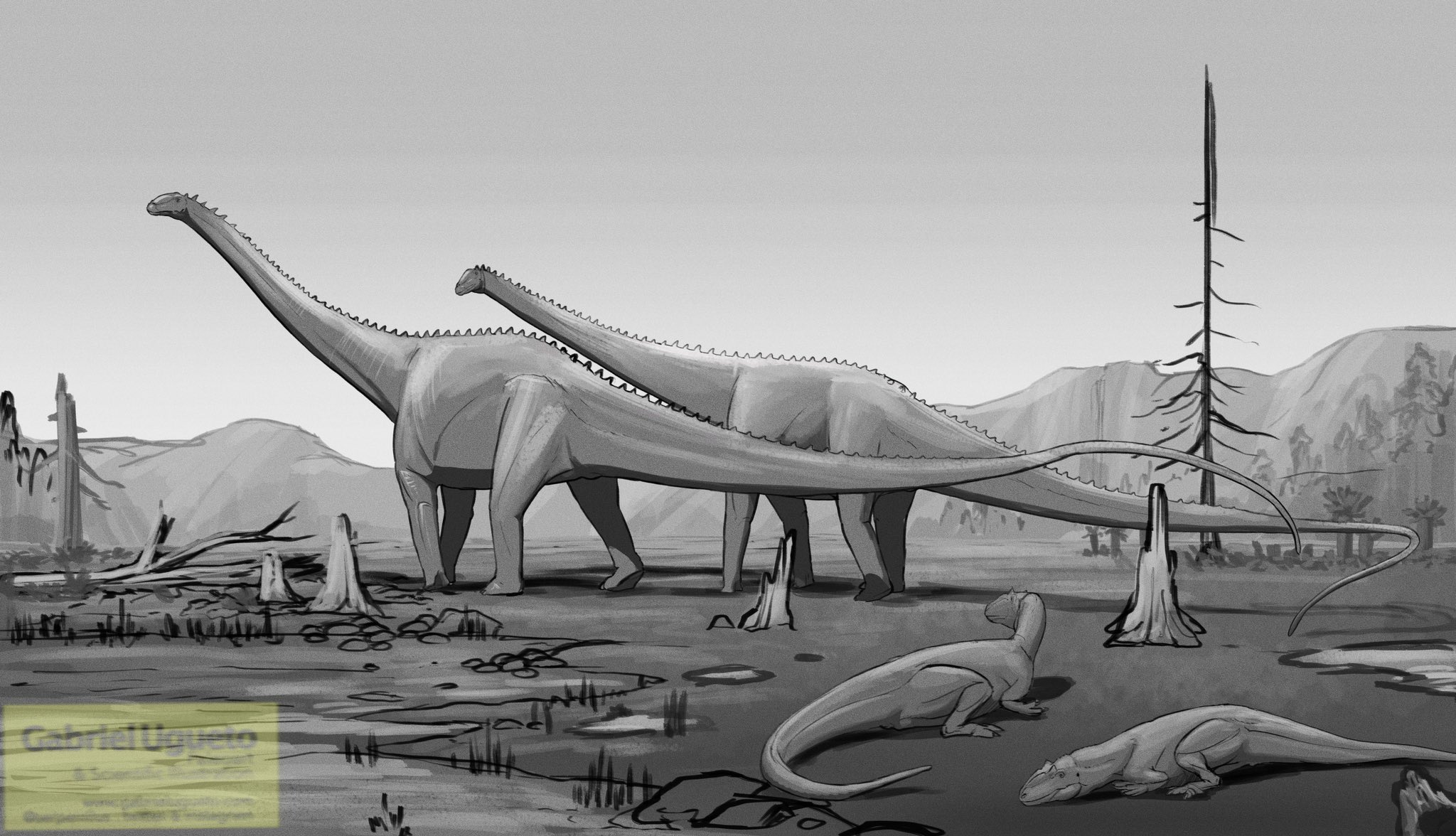 Hand drawn realistic dinosaurus diplodocus Vector Image
