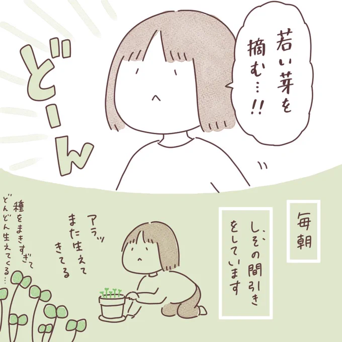 日記まんが「若い芽を摘む」
 #ボンヤリ日記まんが 