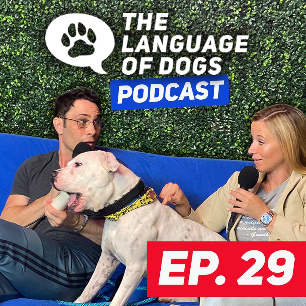 LanguageOfDogs tweet picture