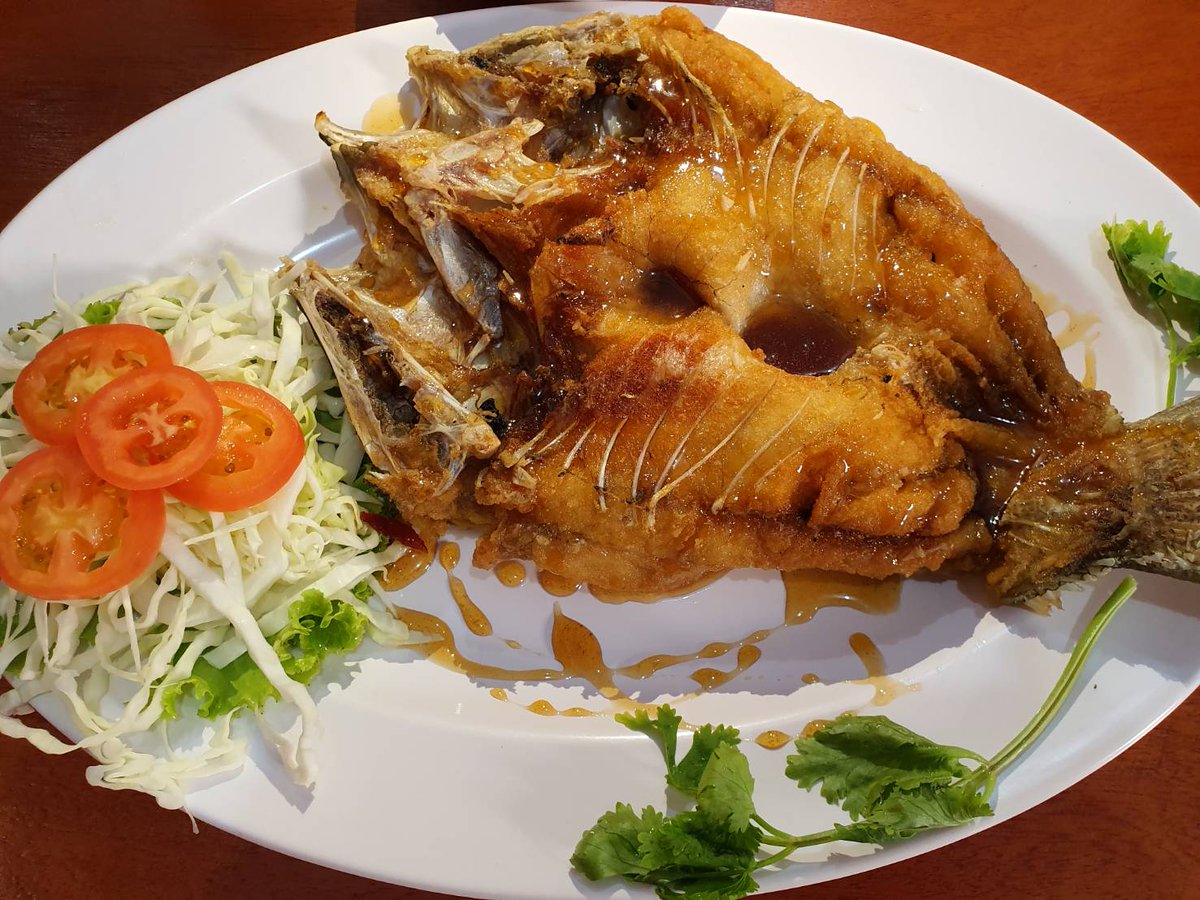 May_IndyMaya's tweet photo. My favourite food.. #PlakapongChaNamPla😜🥢#ปลากะพงฉ่าน้ำปลา 🐠Deep Fried Sea Bass with Fish Sauce 🐠 #ChefMaya 👩🍳🥰 #Cooking❤️#CookingDinner #DinnerTime 🥢#Wancan #LookDelicious🥢😋#Delicious 🥢🍚#Tasty😜#好吃😋 #晚餐 #Food #ThaiFood #AtHome 😍#Ayutthaya https://t.co/BLLFl6RyPN