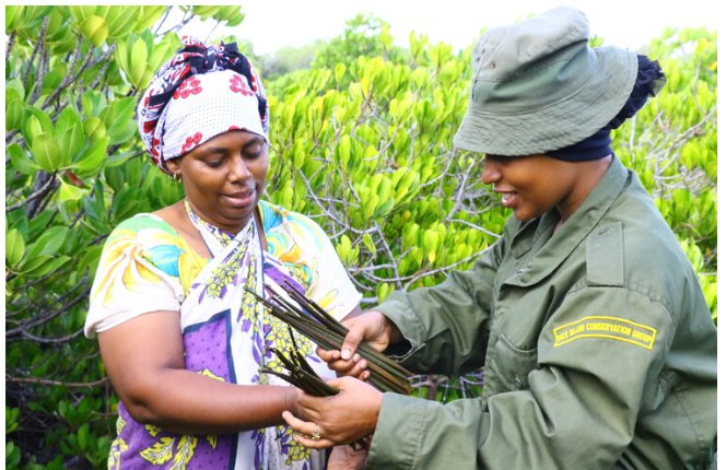 Meet Sophia Abdalla,Lamu Mangrove guardian.Despite being a ranger from Pate Marine,her hopes to conserve Mangrove to fight global warming is bearing fruits. Since 2019, 49,948 Mangrove seedlings has been planted. As a soldier she's anti-terror crusader.
Diana Justin Muturi Jaguar