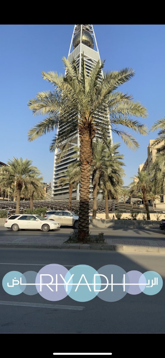 🧚‍♀️ tweet media