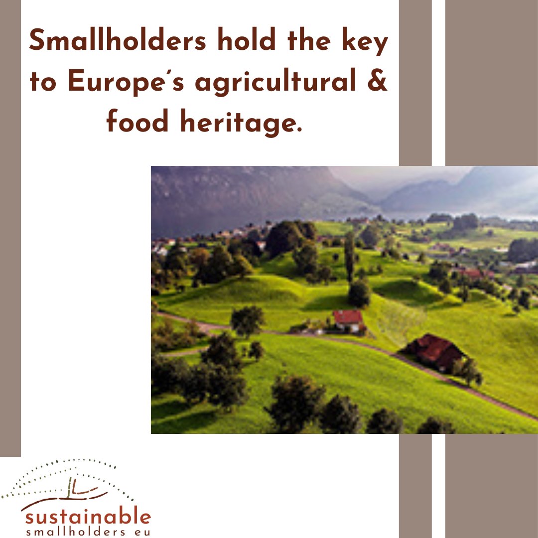 Sustainable Smallholders tweet media
