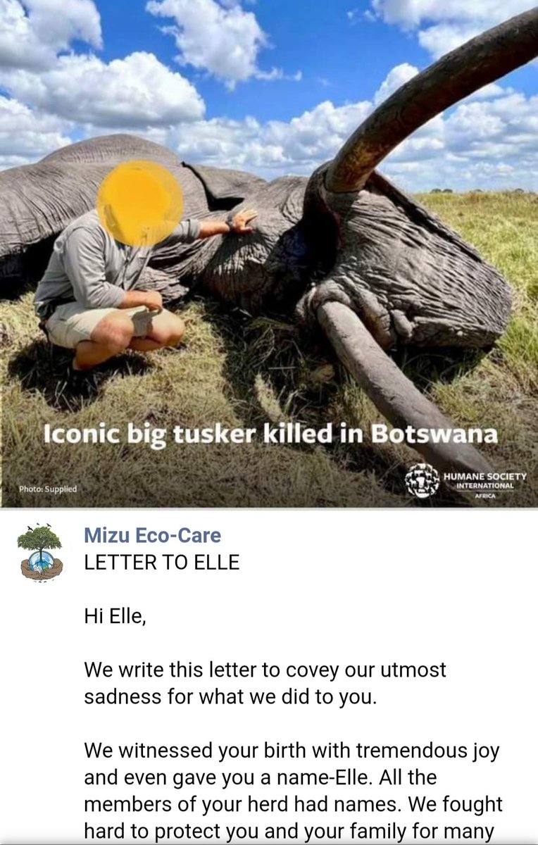 CitysFElephants's tweet photo. 🌐 Worldwide
🎯 #BanTrophyHunting 💥
🔊#OutcryAgainstTrophyHunting
🖤#EndOfTheGame 𓃰𓃰𓃰 https://t.co/W6kl5Ro3tn