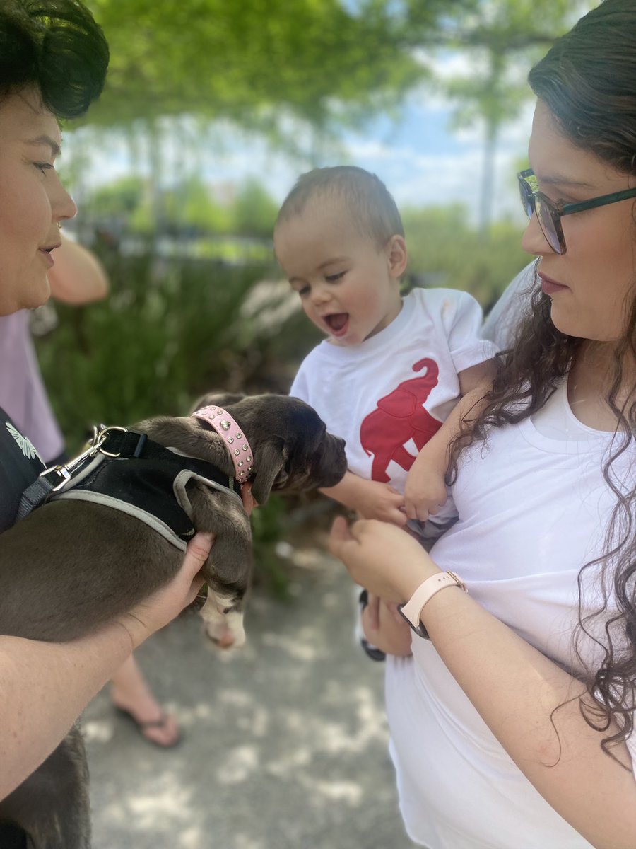 Blessfinesse1's tweet photo. Be the person your dogs think you are 🖤🐾🤍 
#dog
#dogsofinstagram 
#dogmom 
#doglover
#puppy 
#Ilovedogs
#love
#americanbullies 
#upsouthkennel 
#viral #alabamapowerbullyconnection https://t.co/TUXdiBXazZ