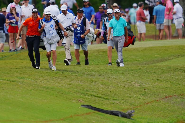 Viktor Hovland and Collin Morikawa react to an alligator on the ninth fairway during the final round of the Zurich Classic of New Orleans golf tournament, Avondale, Louisiana. Andrew Wevers-USA TODAY Sports https://t.co/oWV09zZfcV