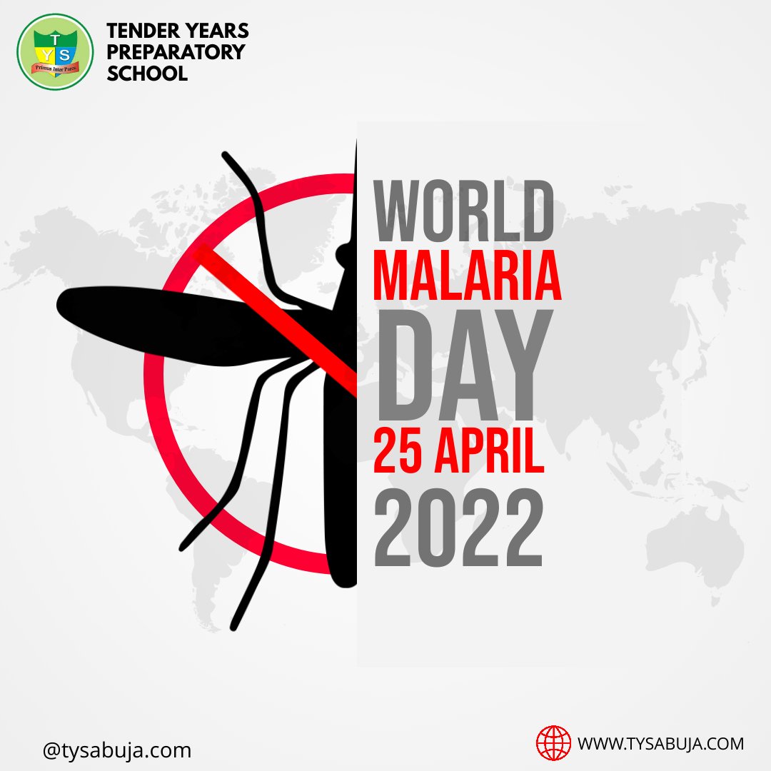 Today at TYS, our students learned about the causes of malaria and how to mitigate it's spread and eradicate it.