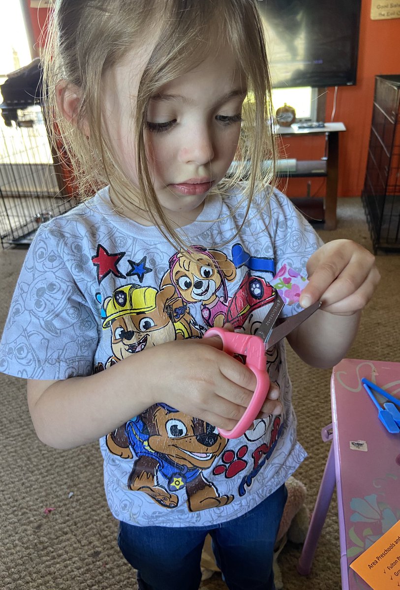 emily_knipe's tweet photo. Using a variety of materials to practice cutting! #parentsasteachers #guidedplay #fecchornets https://t.co/uT7HPoVzSt