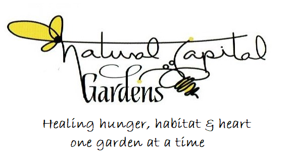 anaturalcapital's tweet photo. Gardeners are working to have the best gardens yet!  I can help you design one that is sustainable and gets you the best bang for your time and resources. https://t.co/yesKuWN6Hy