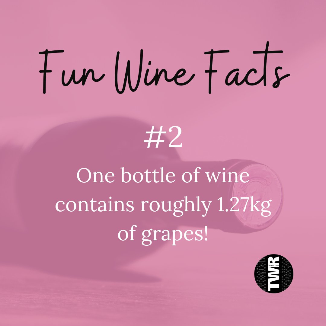 topwineroots's tweet photo. Fun Wine Fact # 2
One bottle of wine contains roughly 1.27kg of grapes!
And in our wines, a lot of TASTE packed in each bottle as well. 

Order online today:
https://t.co/pLiLG45zcn
 #topwineroots #winetime #onlineshop #orderonline https://t.co/HJEPrALmxO
