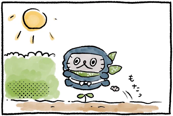 しゅぎょう
#ねこのぶーちゃん4コマ 