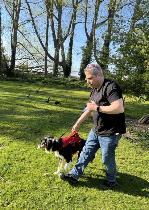 Arty looks a little worse for wear, but he&rsquo;s happy to be home 🥰 We have a big list of instructions on