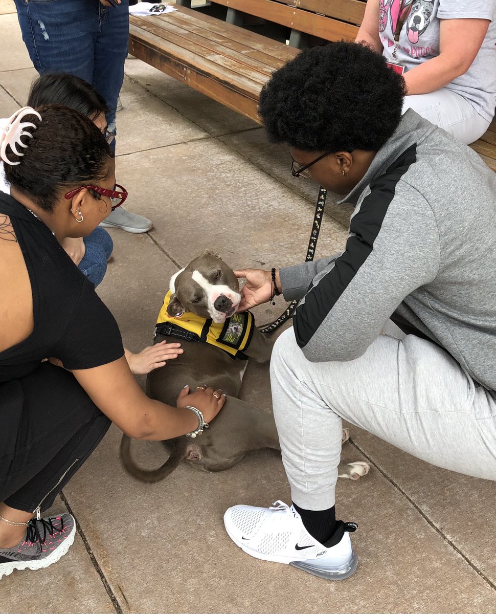 Studying for exams can be stressful. Puppers make it better <a href="/UCBlueAsh/">UC Blue Ash College</a>