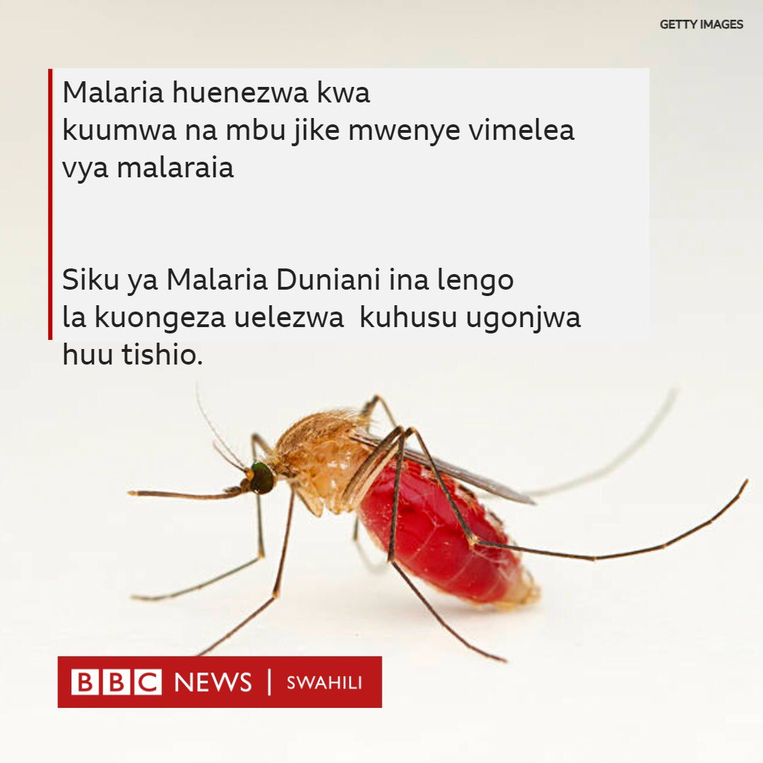 bbcswahili's tweet image. Tarehe 25 Aprili ni siku ya Malaria duniani wakati ambapo Shirika la Afya duniani (WHO) hutoa uelewa kwa jumla kuhusu juhudi za pamoja na kuiepusha dunia na malaria. 
bbc.in/3EJkOEY
#MalariaDay #afya #bbcswahili  #WHO