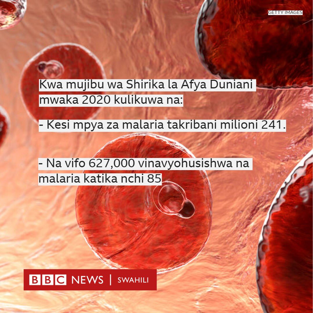 bbcswahili's tweet image. Hii maanisha kuwa ugonjwa huo unaweza kusambaa katika maeneo mengine mapya ambako haukuwahi kushuhudiwa kabla. bbc.in/3EJkOEY
#MalariaDay #afya #bbcswahili  #WHO