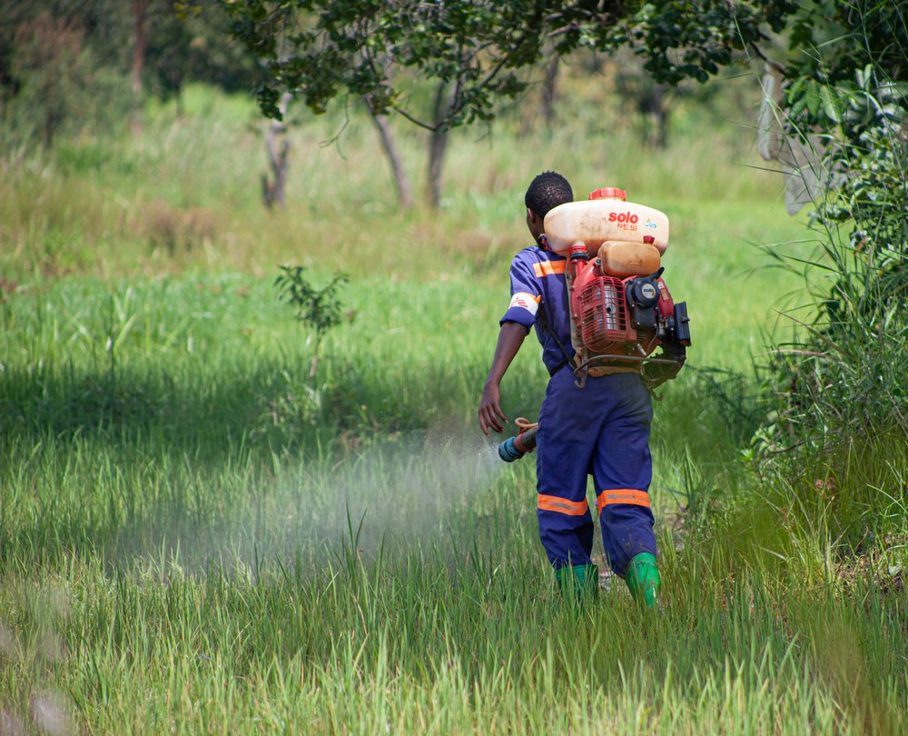 MSF PICTURE DESK tweet media