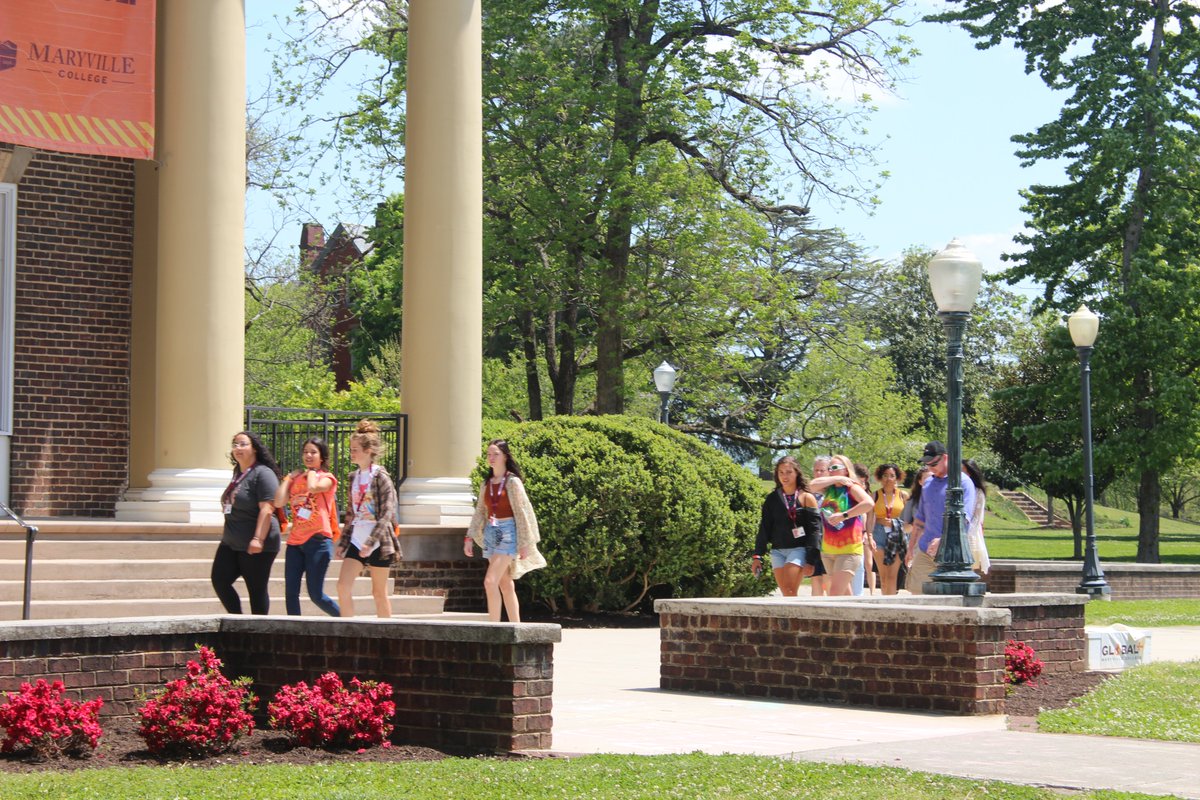 MC Admissions tweet media