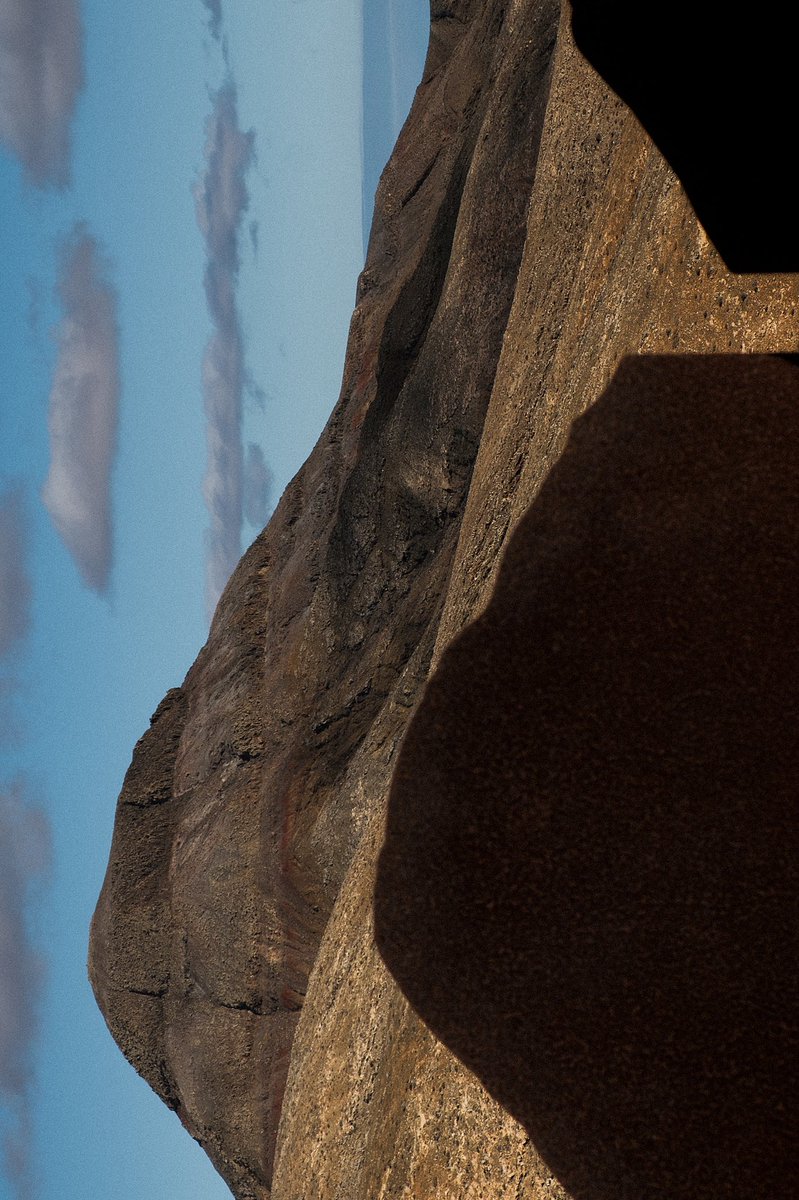 Pinkrnell tweet media