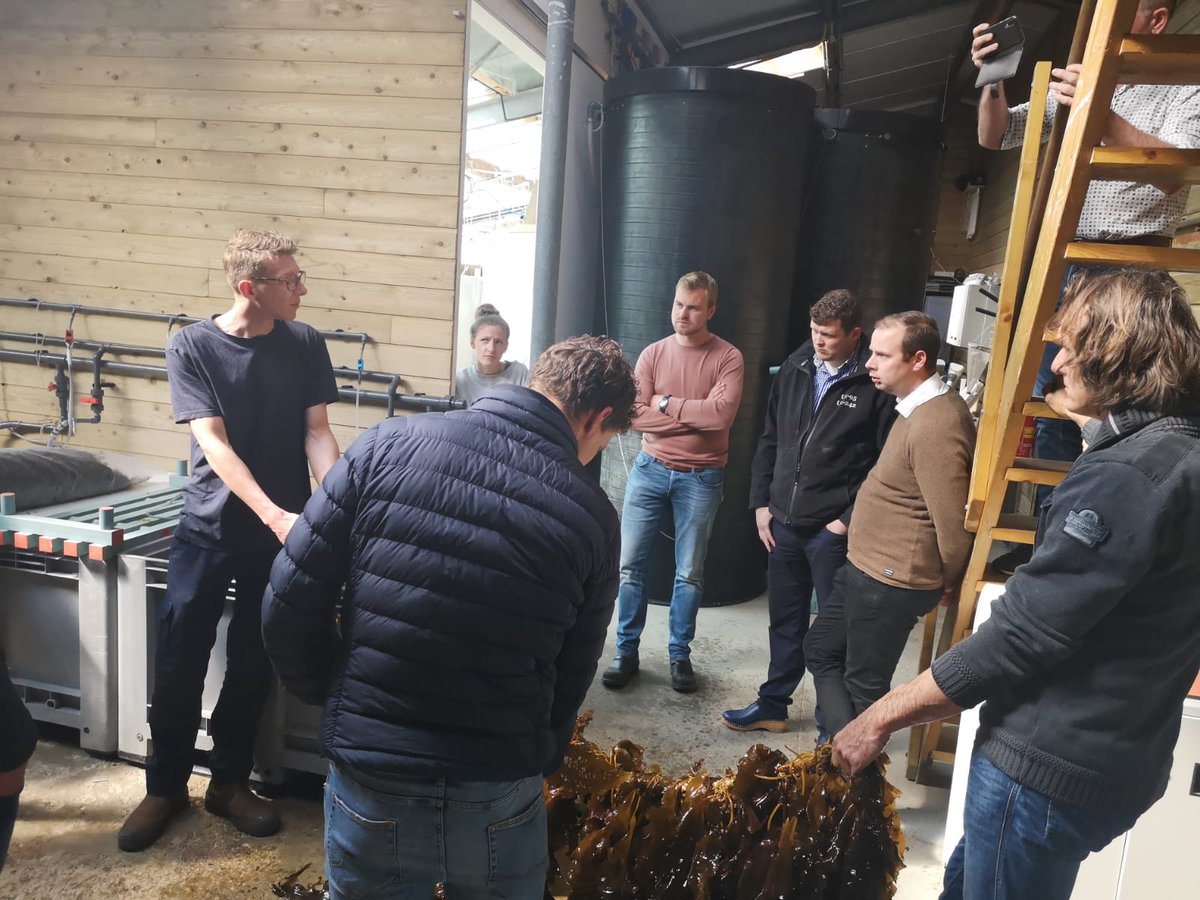 Afgelopen weekend vond een nieuwe editie van de cursus Tussen Schip &amp; Wal plaatst, met bezoeken aan <a href="/Vis_innovatie/">Visserij-innovatie</a> centrum, Stichting Zeeschelp en <a href="/seafarmseafood/">Seafarm Seafood</a>. Het was een geslaagde cursus vol inspiratie om samen te werken, te innoveren en nieuwe mogelijkheden te verkennen!