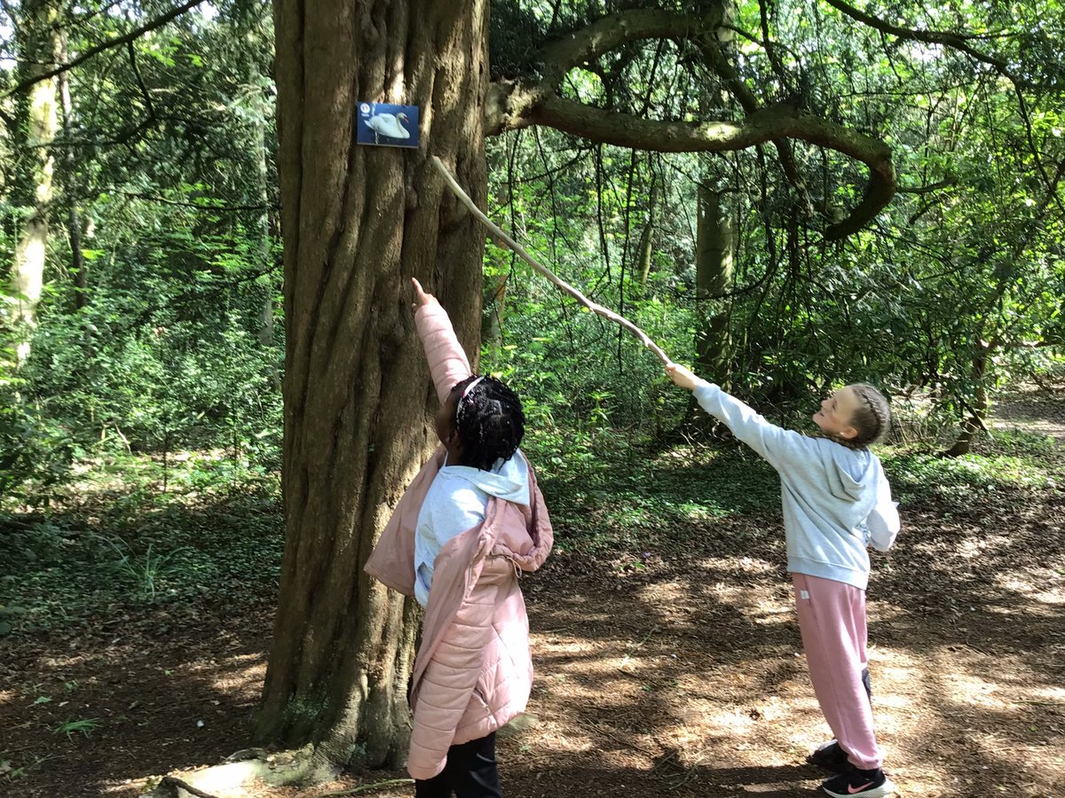 InspirationsStm's tweet photo. Great fun working as a team and problem solving. #STMoutdoorlearning #Chetcentre https://t.co/I02XX3SgP3